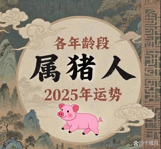 属猪人2020的全年运势_1