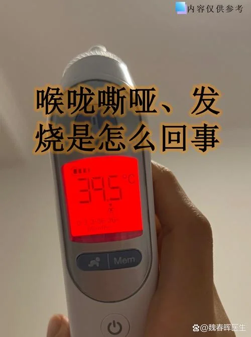 半夜发烧了没药怎么办_1