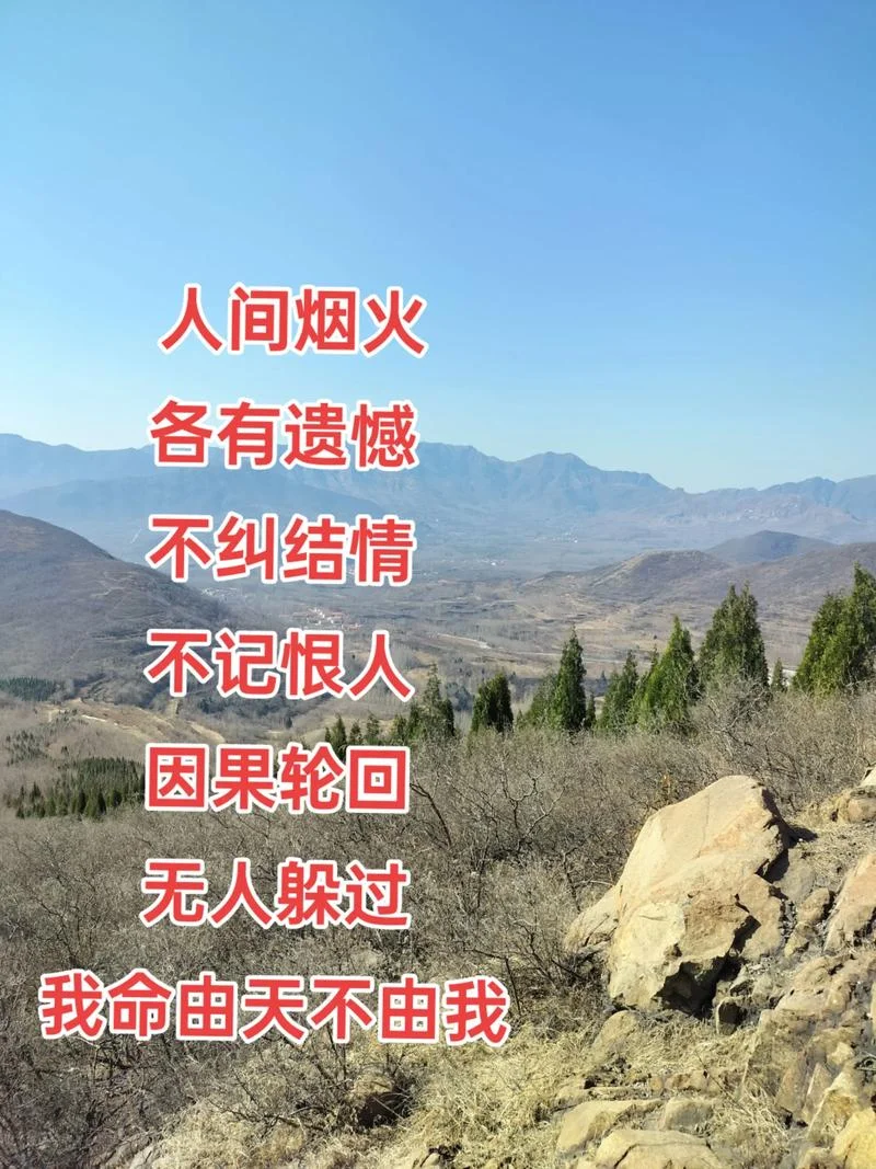 听天由命的下一句_2