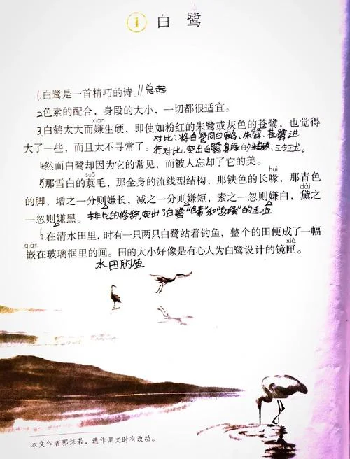 白鹭的作者是谁啊_2