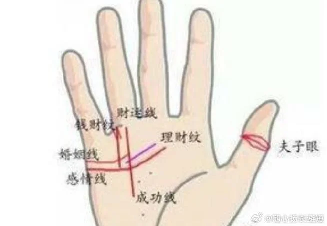 大拇指指纹手相夫子眼_2