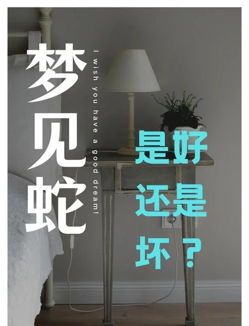 做梦梦到很多蛇什么意思_1