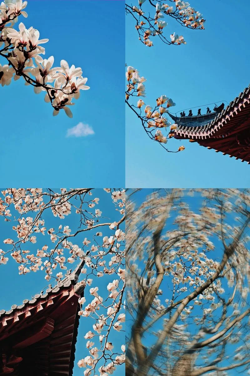 梦到好美的风景-梦境中的绝美风景
