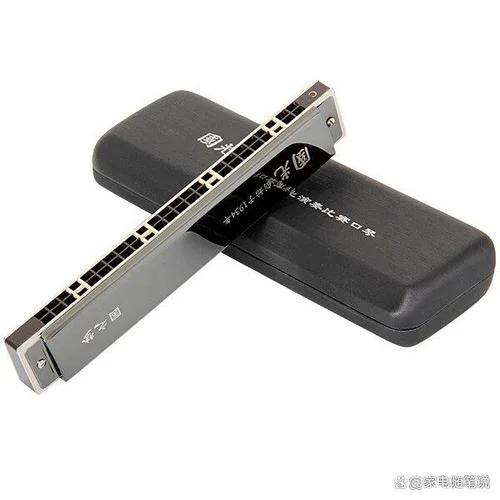 买什么口琴比较好_2