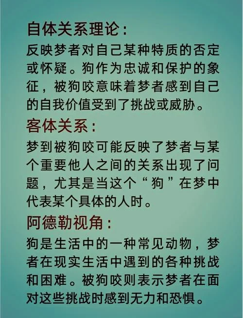 女人梦见两只狗咬自己_1