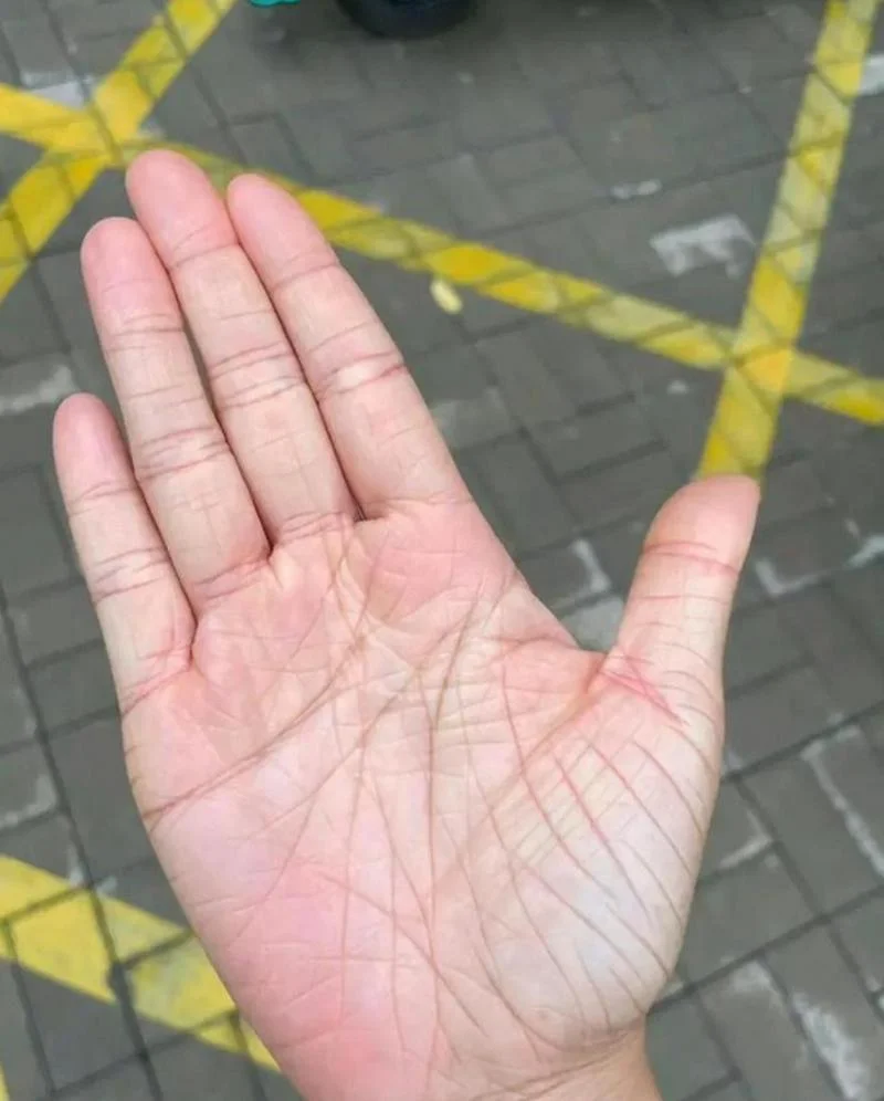 劳碌命手相男_2