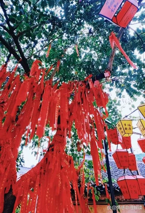 免费算命姻缘树_2