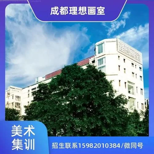 高二美术艺考来得及吗-高二美术艺考有希望吗