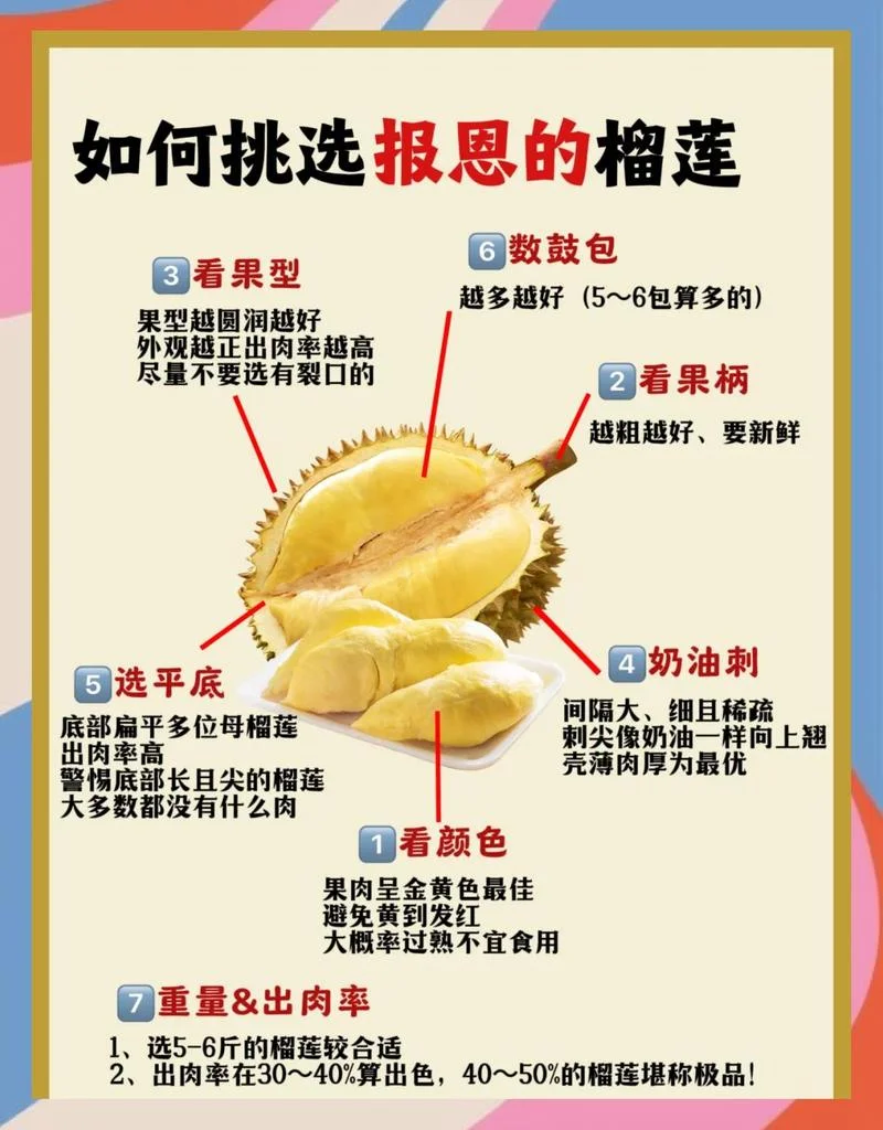 几月的榴莲最好吃-几月榴莲最美