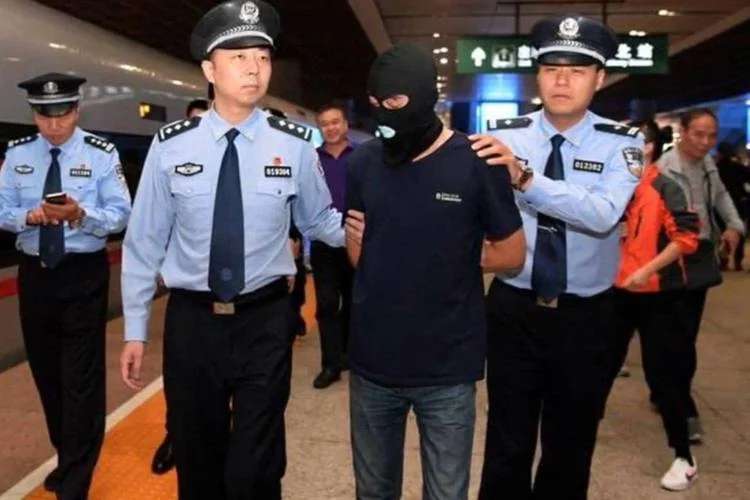 梦见自己抓了犯罪人_1