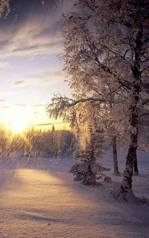 梦见雪景图片_2