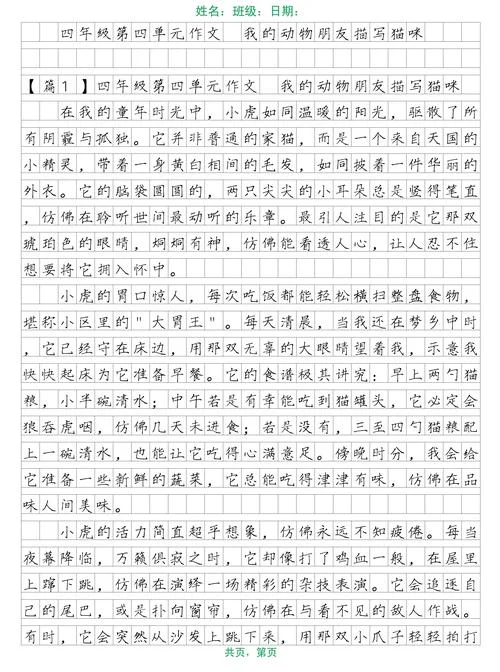 动物的它们怎么写-动物它们怎么写