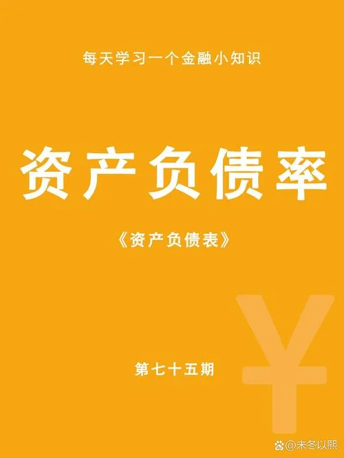负债率公式_1