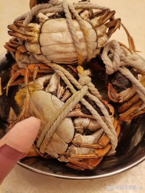 梦到被螃蟹夹什么征兆_2