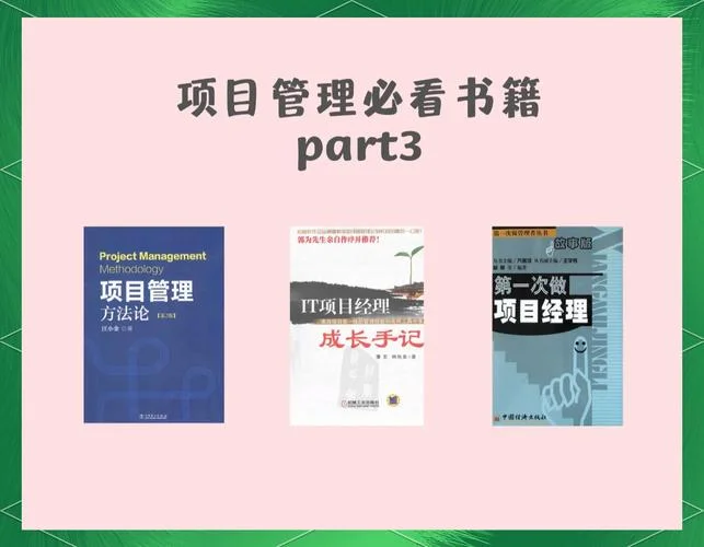 项目管理类书籍_1