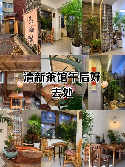 沈阳哪里可以学茶道-沈阳学茶道地点