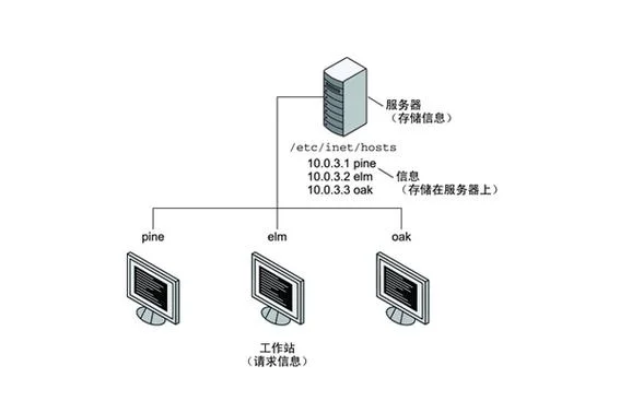 服务器地址是指什么-服务器地址指什么