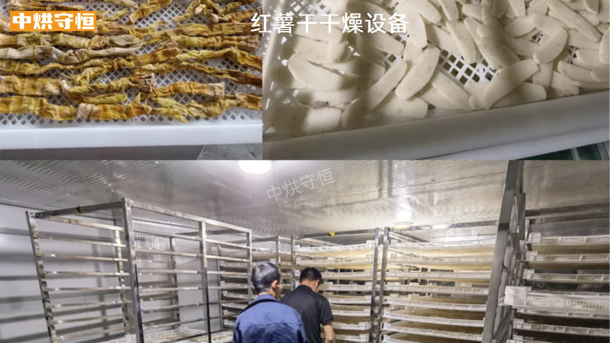地瓜干烘干设备多少钱_2