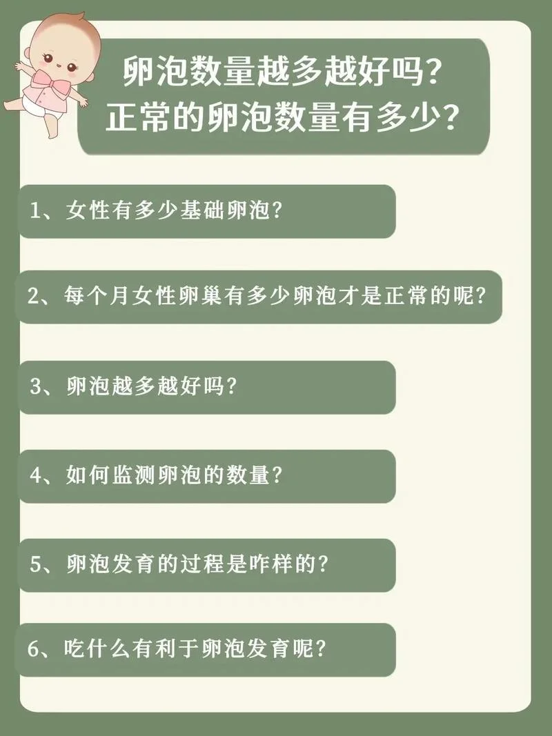 卵泡大小计算公式_1