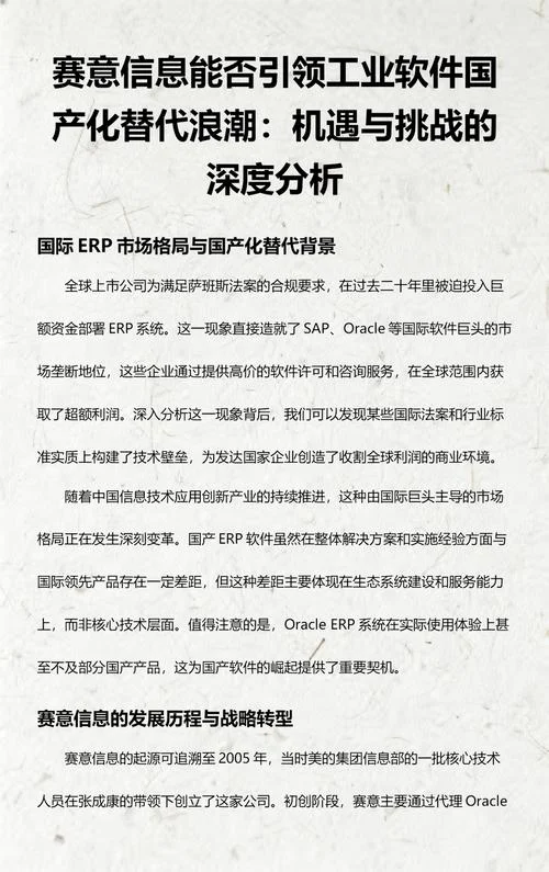 赛意信息公司简介_1