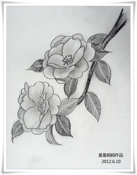 素描背景怎么画-素描背景画法速解