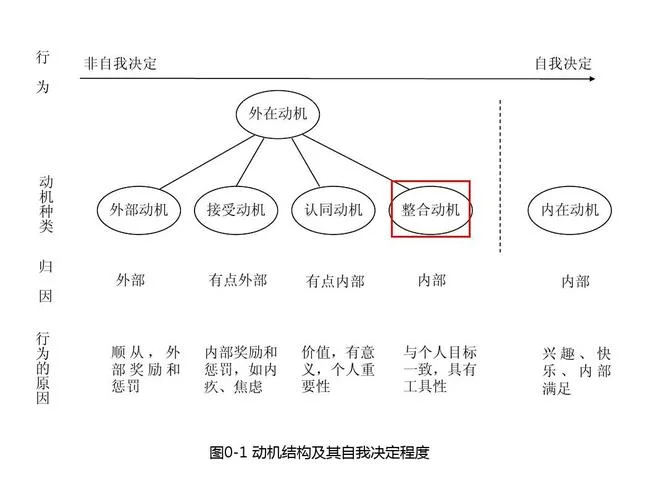 自我决定理论视频_1