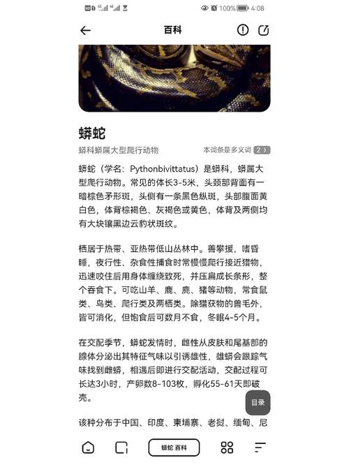 给自己解梦梦见蛇_2
