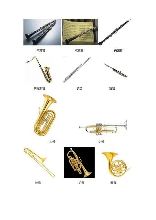 艺考都有考哪些乐器_1