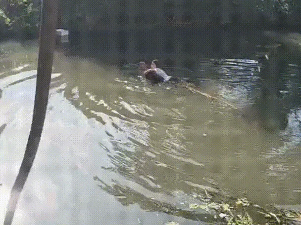 做梦梦到亲人跳河_1