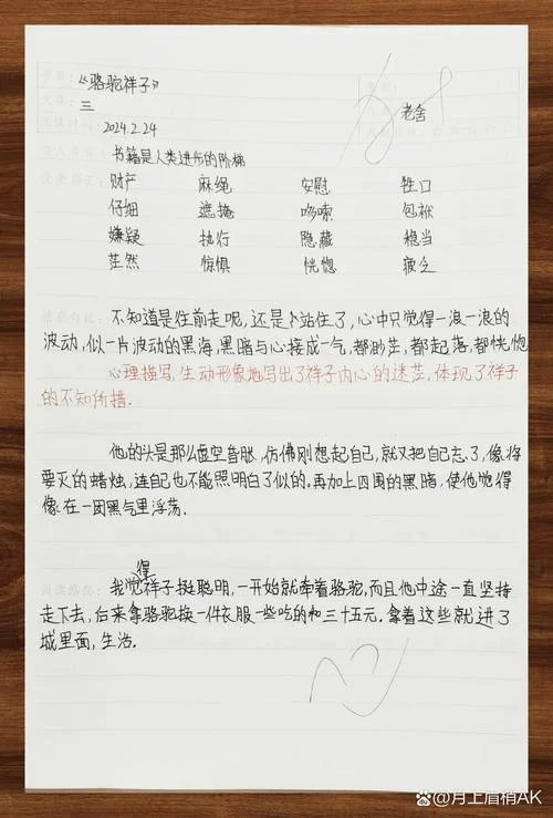 骆驼祥子阅读感悟30字_2
