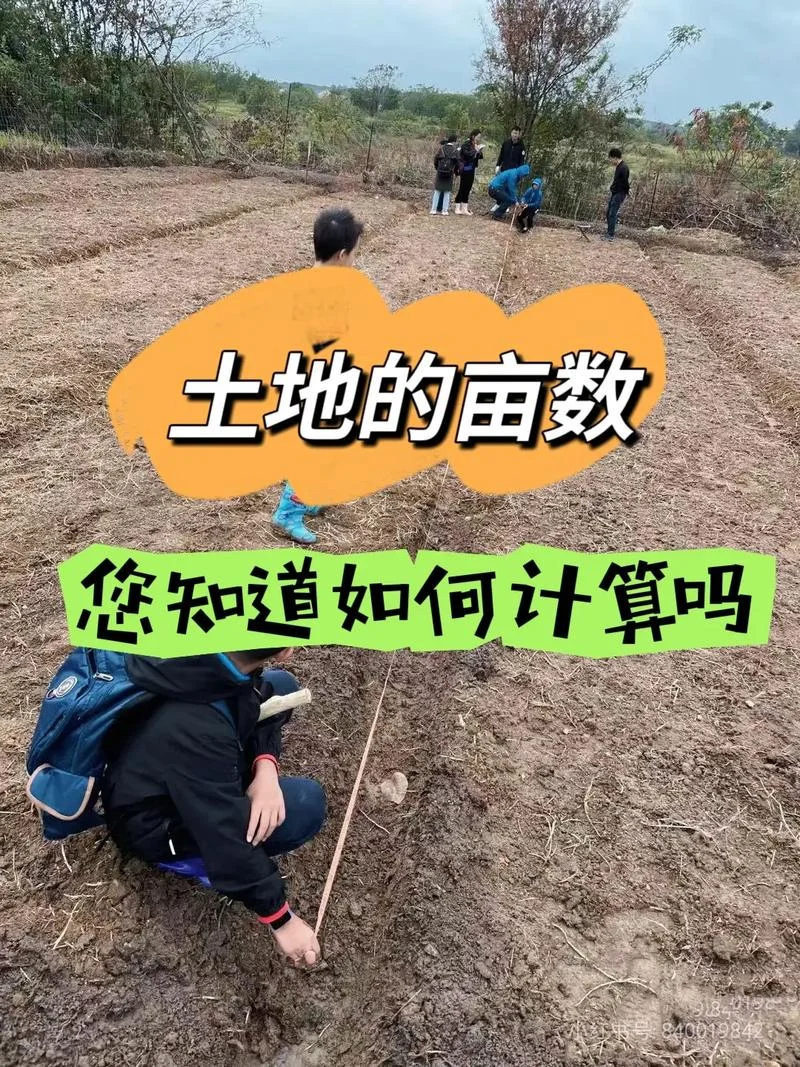 100亩地等于多少公顷?-100 亩地折合多少公顷？