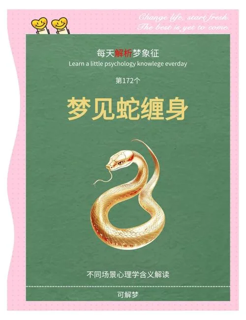 梦见一条小蛇钻入体内_2