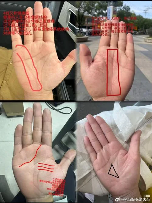 玄易看手相是真的吗-玄易看手相是真的吗