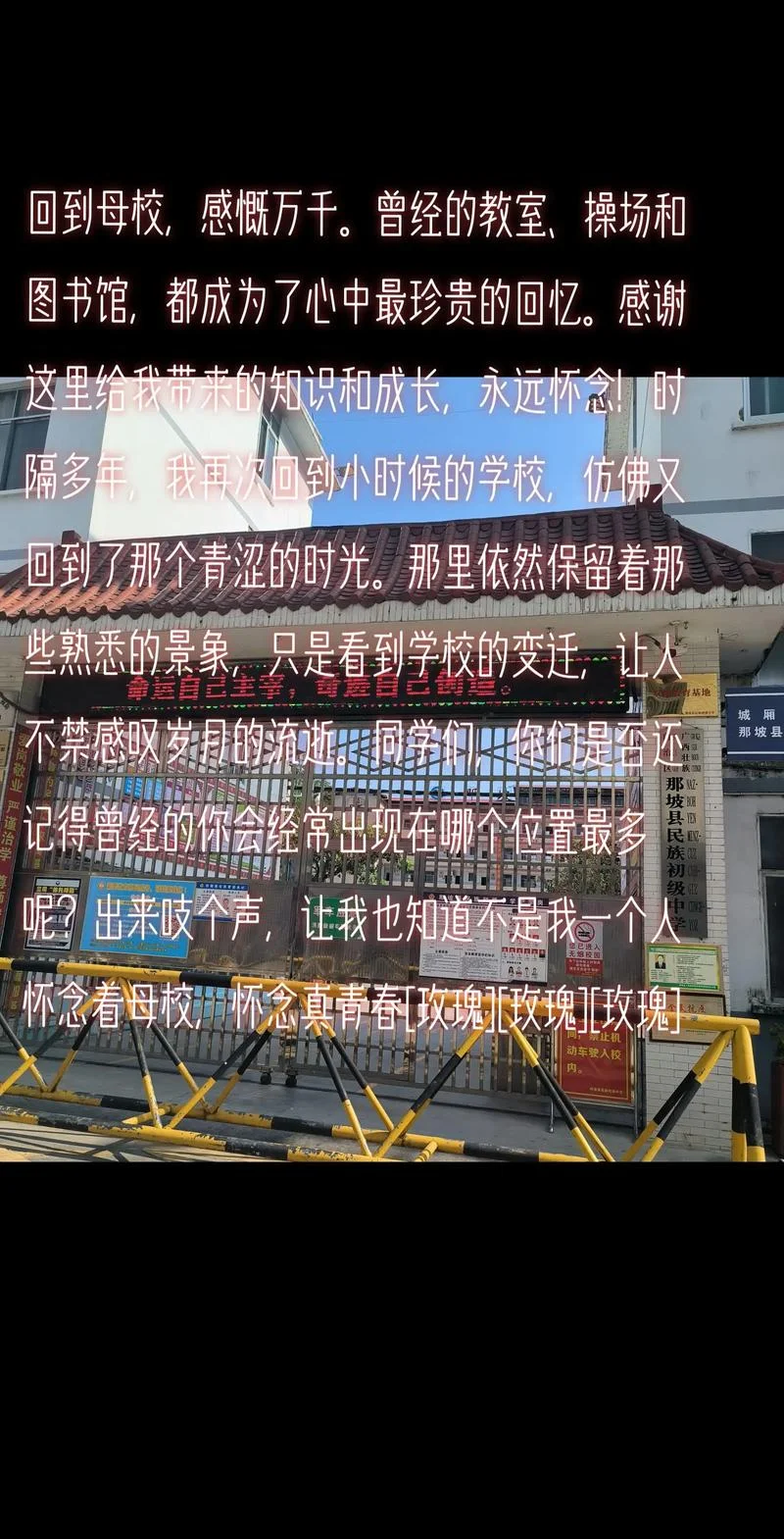 从学校步入社会感悟_1