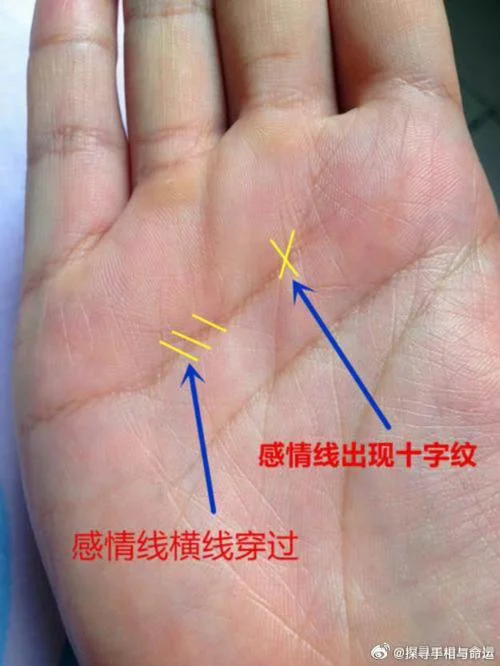怎么用看手相撩妹-看手相撩妹秘诀