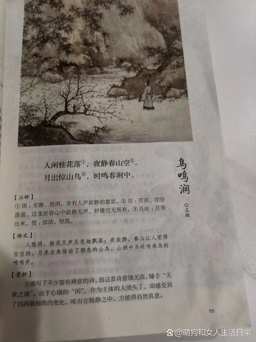 鸟鸣涧中的闲是什么意思_2