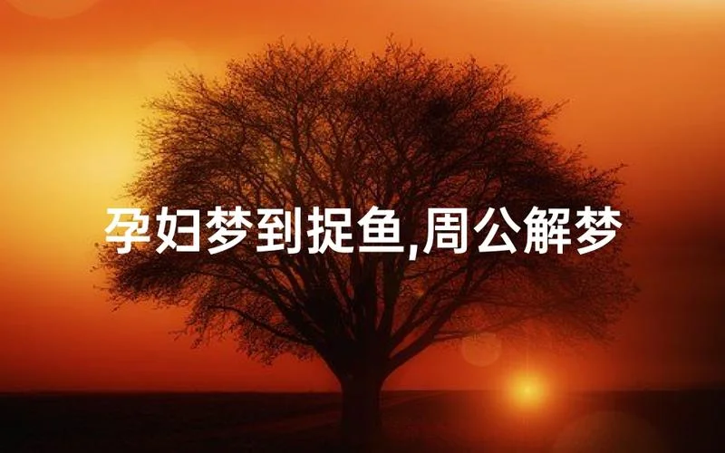 梦到捉鱼_1