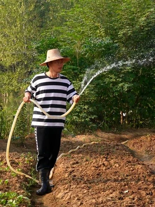 梦到用水浇地是什么意思_1