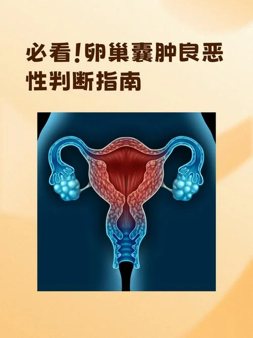 生理性囊肿是什么意思-生理性囊肿含义详解