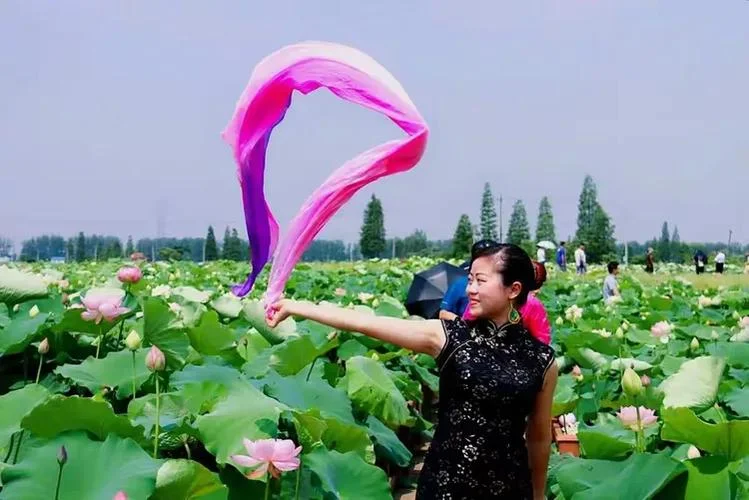 梦到 她采草和花_1