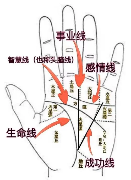 怎么用看手相撩妹_2