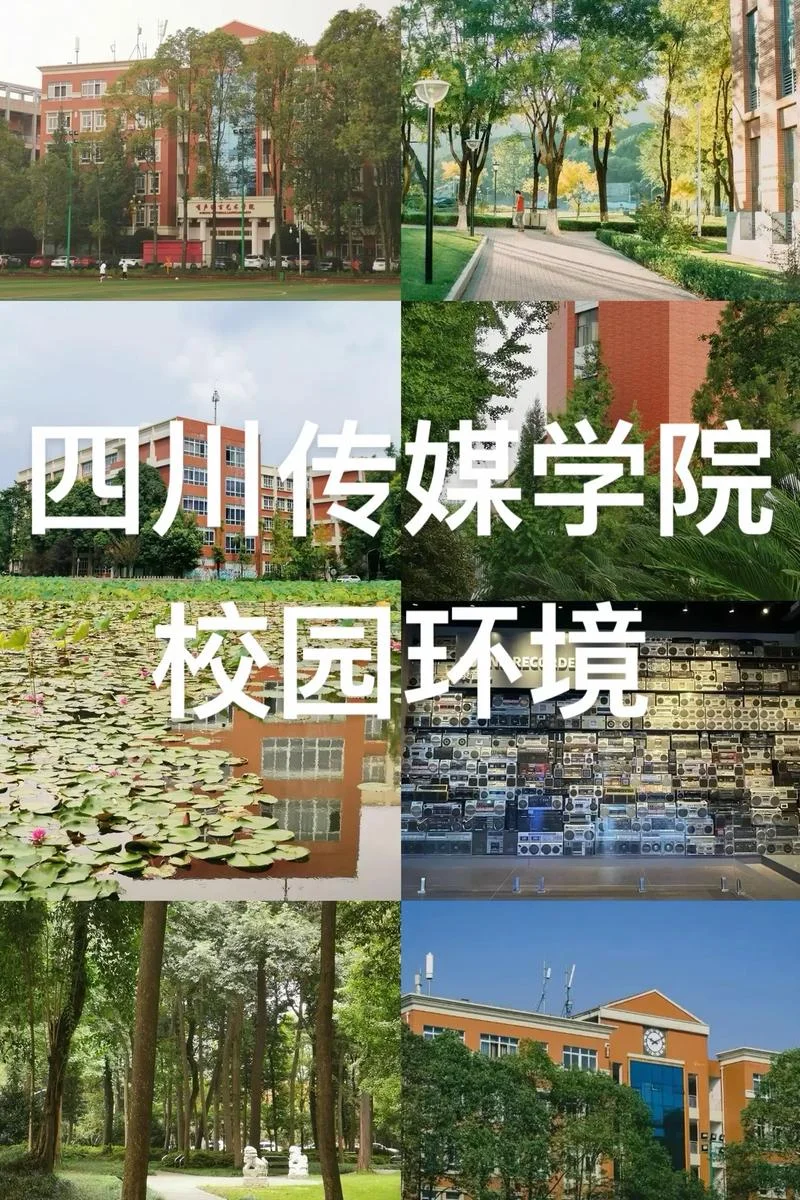 传媒学院排名-传媒学院排第 3