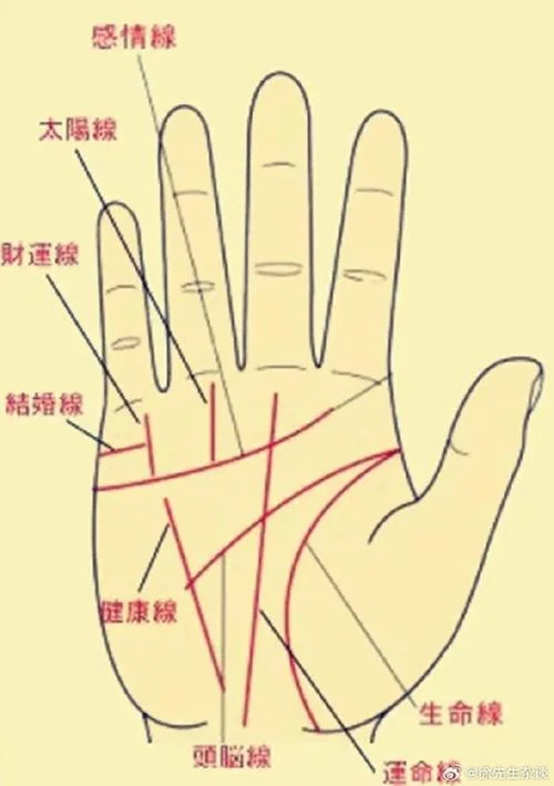 手相上的纹路怎么看-手相纹路怎么看