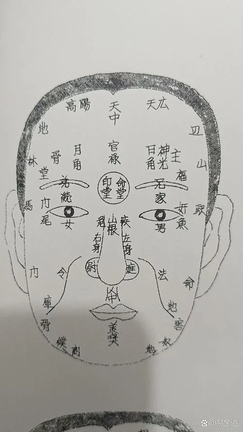 学面相-学习面相学