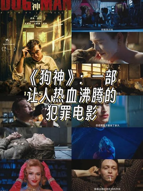 神剧情电影 迅雷下载-神剧情电影迅雷下载