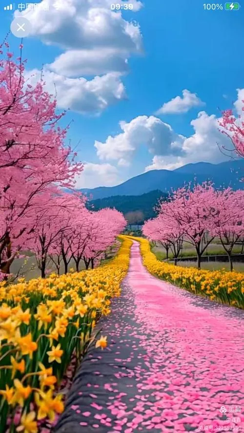 梦见花开遍野_1