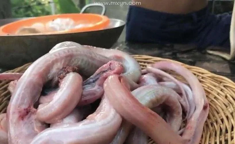 梦到把蛇杀了还动_2