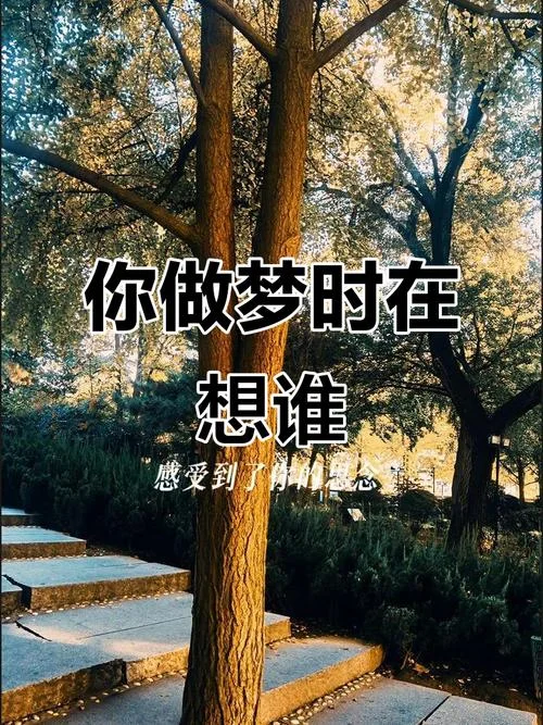 梦到的人是在想你吗_1