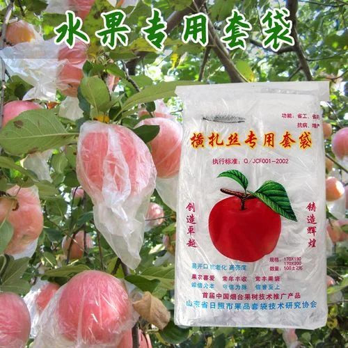 几月份套苹果袋_1