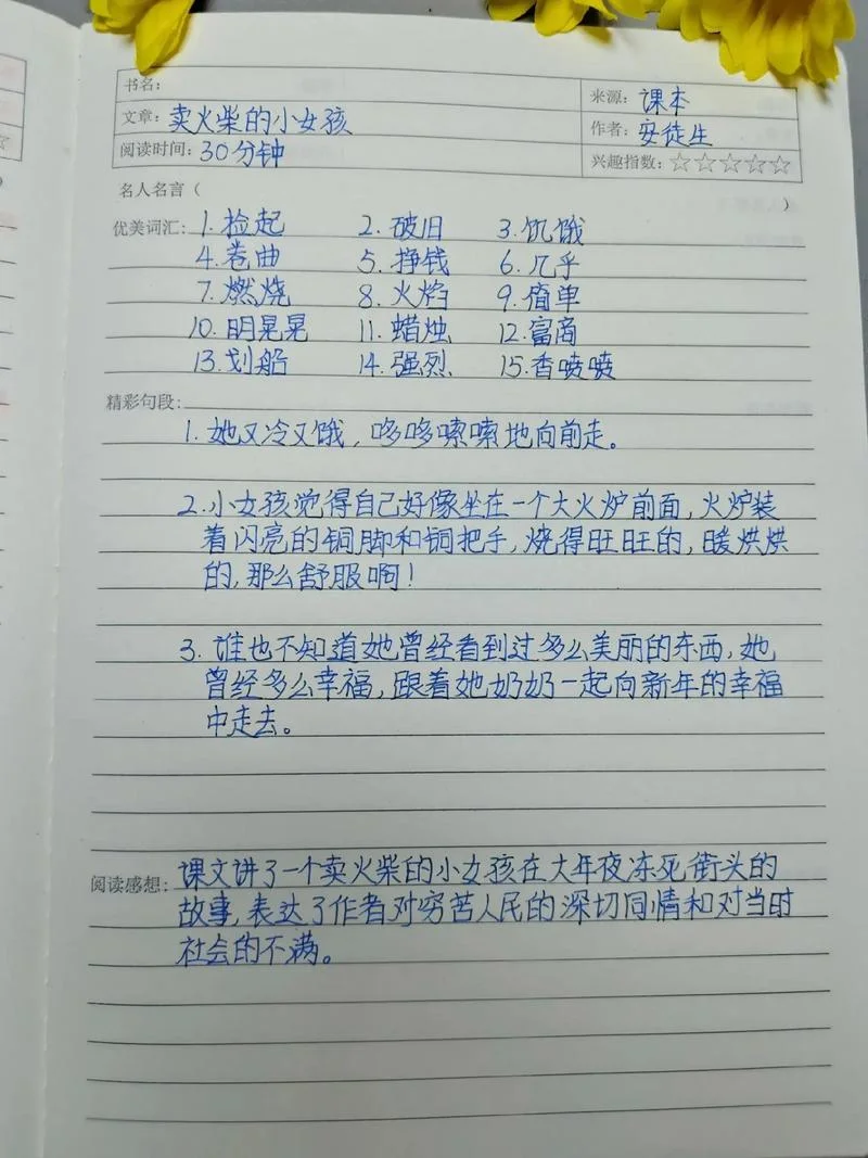 卖火柴的小女孩的读书笔记-读书笔记改写